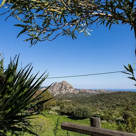 Relais De Saleccia Casta