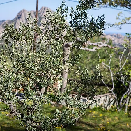 Relais De Saleccia 3* Casta