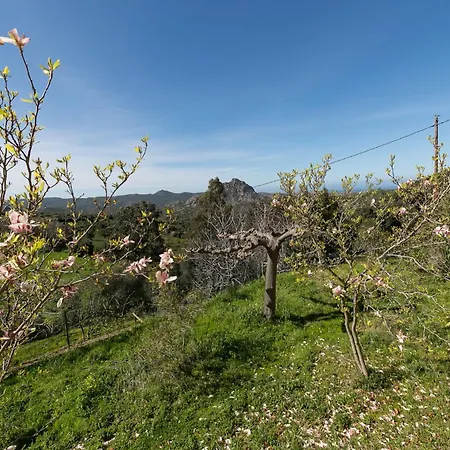 Relais De Saleccia 3*