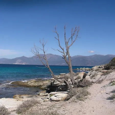 Relais De Saleccia 3*