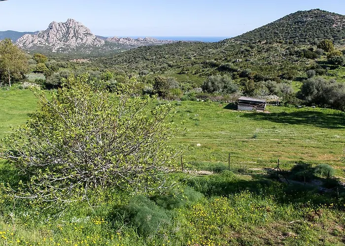 Relais De Saleccia Otel 3*