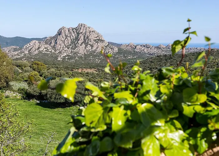 Relais De Saleccia Otel 3*