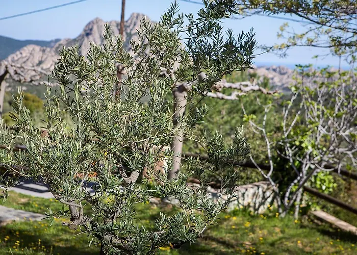 Relais De Saleccia 3* Casta