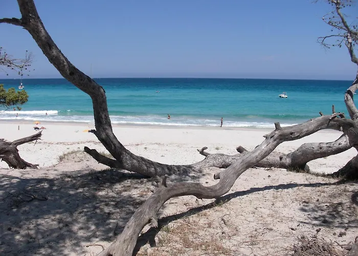 Otel Relais De Saleccia