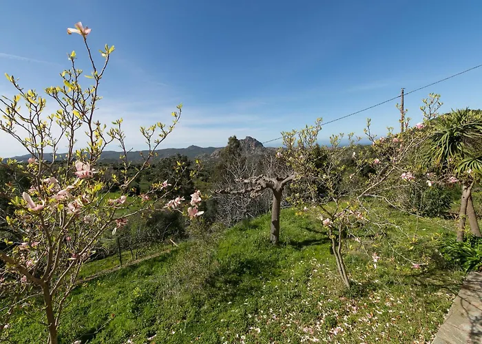 Relais De Saleccia 3*