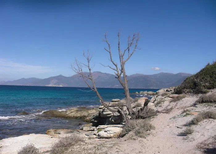 Relais De Saleccia 3*